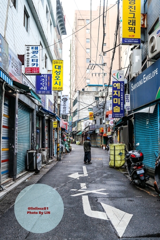 f:id:linlinsz81:20190520212637j:plain