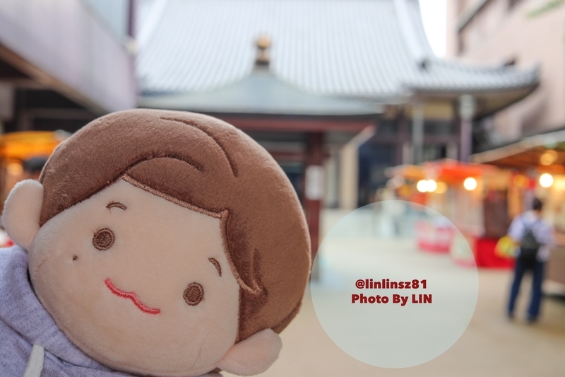 f:id:linlinsz81:20190627212333j:plain