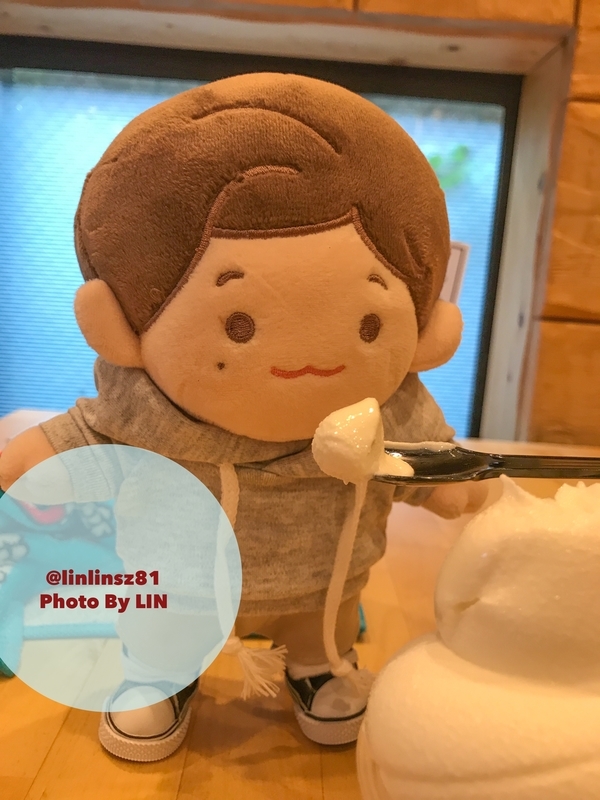 f:id:linlinsz81:20190627212609j:plain