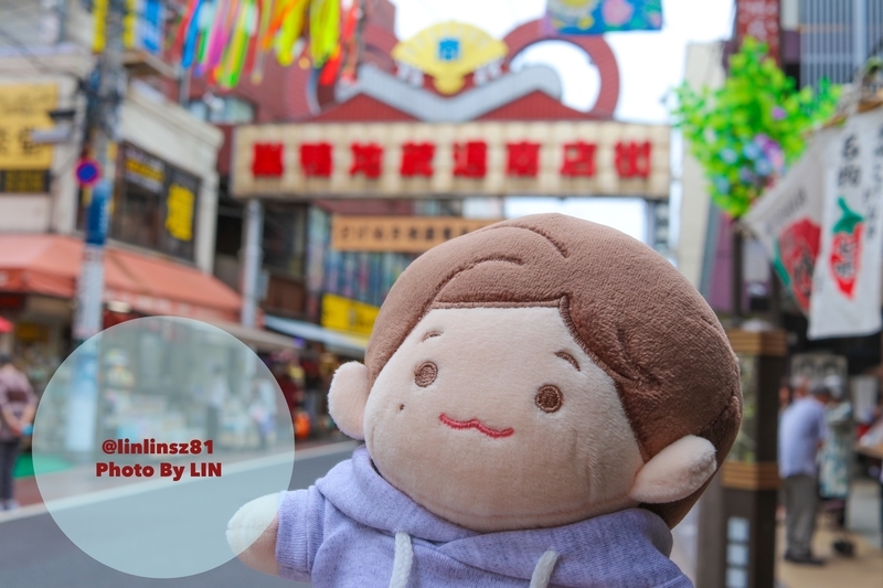 f:id:linlinsz81:20190627212846j:plain