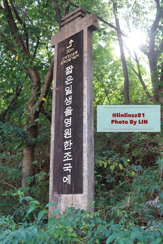 f:id:linlinsz81:20191012015148j:plain