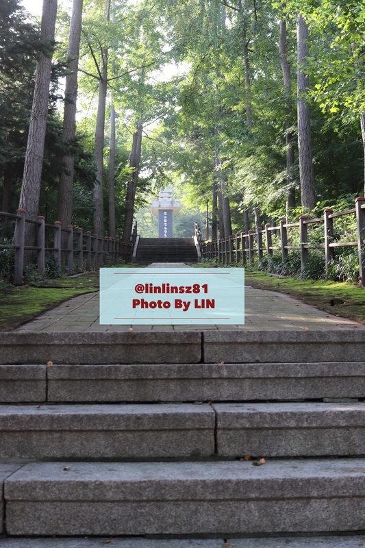 f:id:linlinsz81:20191012015244j:plain