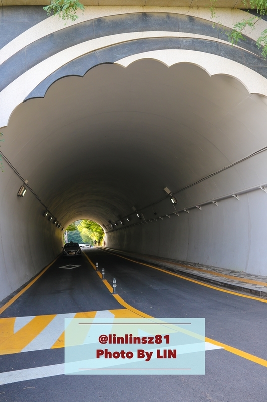 f:id:linlinsz81:20191012015523j:plain