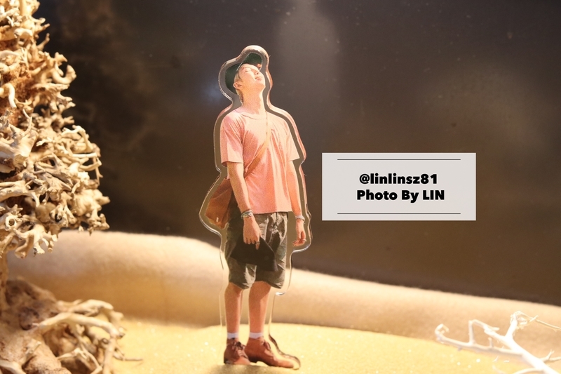 f:id:linlinsz81:20191013074721j:plain