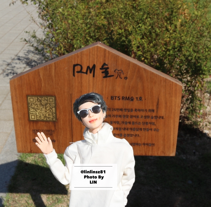 f:id:linlinsz81:20191013083427j:plain
