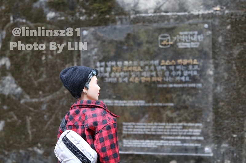 f:id:linlinsz81:20191016002514j:plain