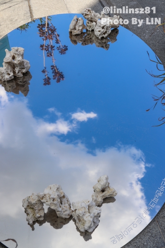 f:id:linlinsz81:20191016002538j:plain