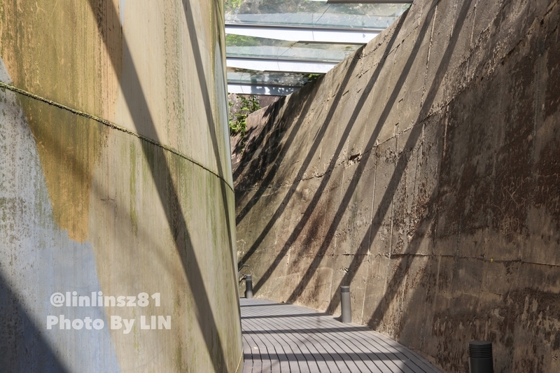 f:id:linlinsz81:20191016002705j:plain