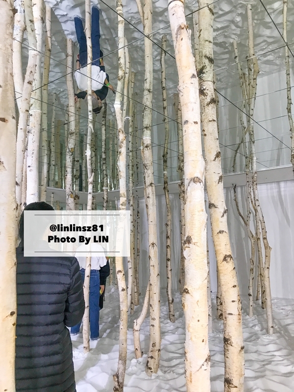 f:id:linlinsz81:20191016002803j:plain