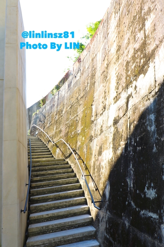 f:id:linlinsz81:20191016003202j:plain