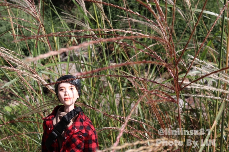 f:id:linlinsz81:20191016003501j:plain