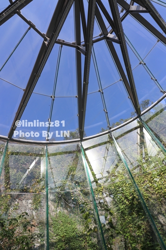 f:id:linlinsz81:20191016003657j:plain