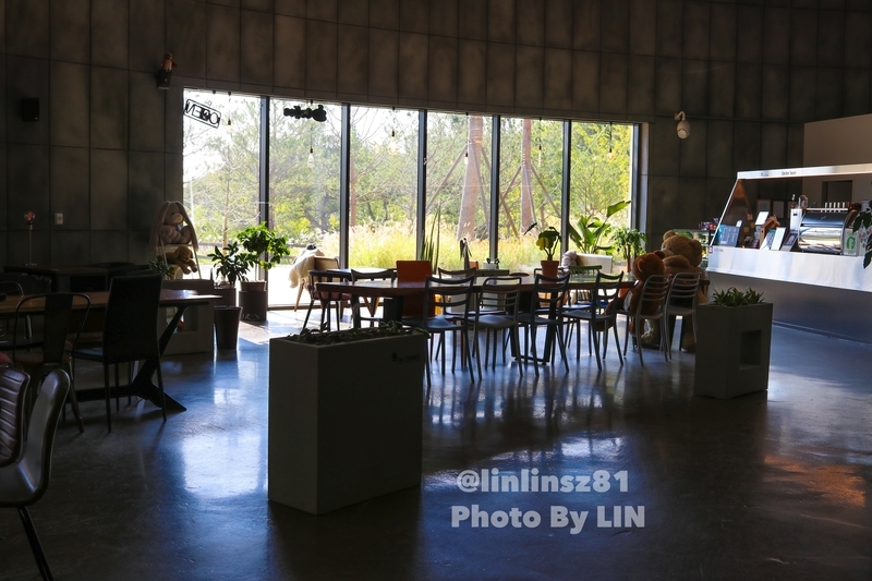 f:id:linlinsz81:20191016003825j:plain