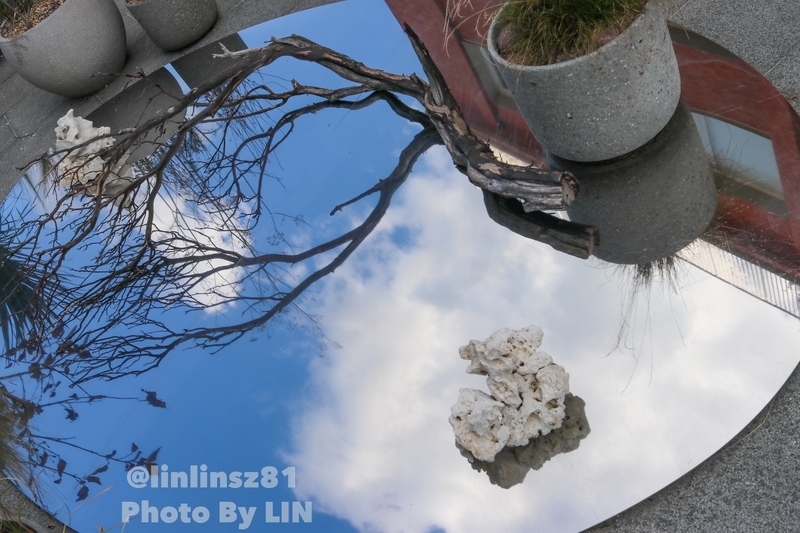 f:id:linlinsz81:20191016004308j:plain
