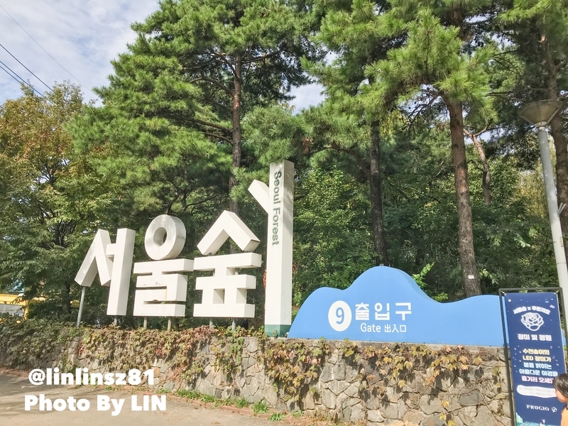 f:id:linlinsz81:20191018001018j:plain f:id:linlinsz81:20191018001018j:plain