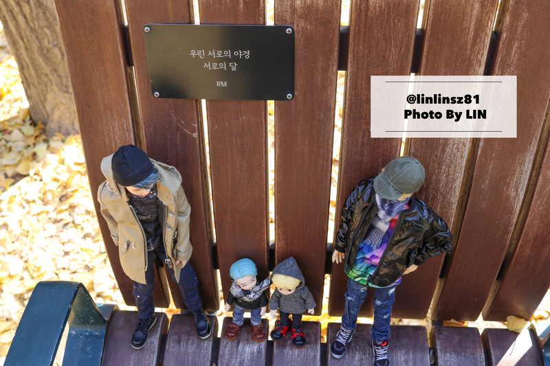 f:id:linlinsz81:20191125100204j:plain