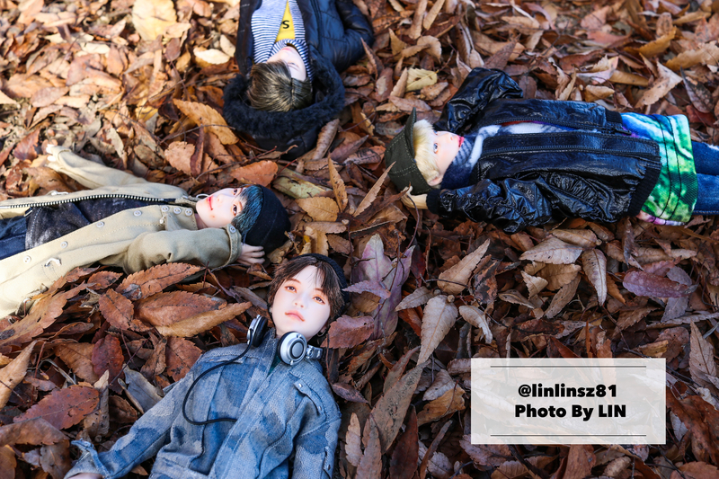 f:id:linlinsz81:20191125100328j:plain