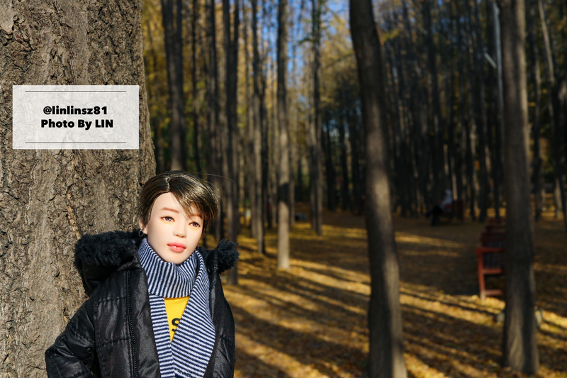 f:id:linlinsz81:20191125100355j:plain