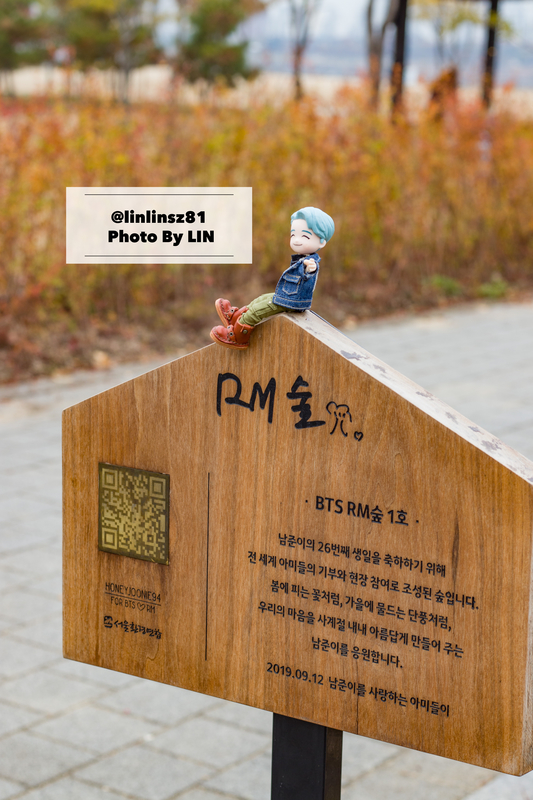 f:id:linlinsz81:20191125110126j:plain