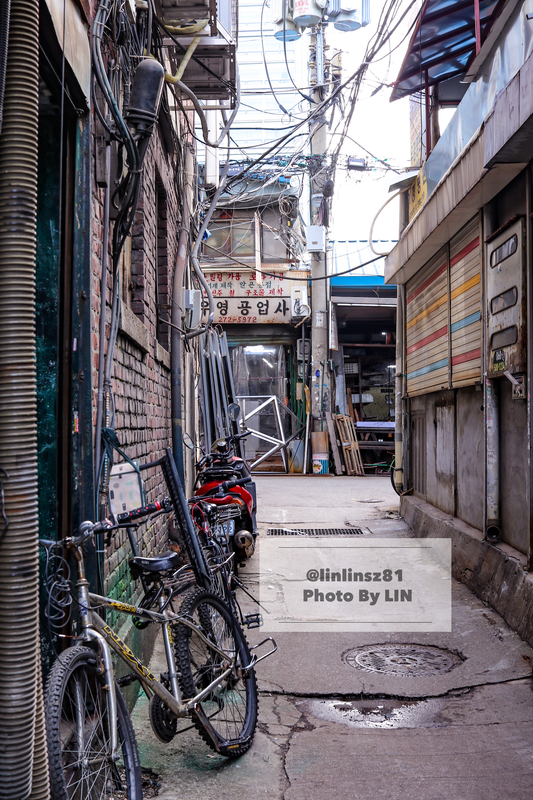 f:id:linlinsz81:20191125224134j:plain