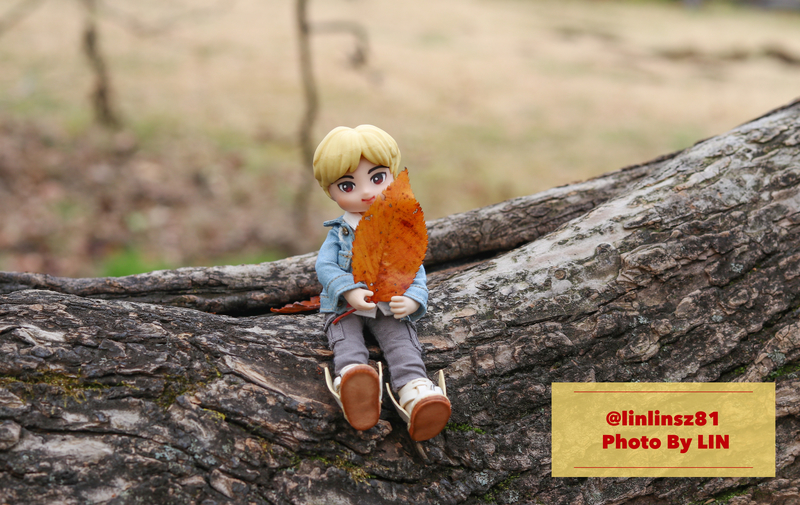 f:id:linlinsz81:20191215025558j:plain