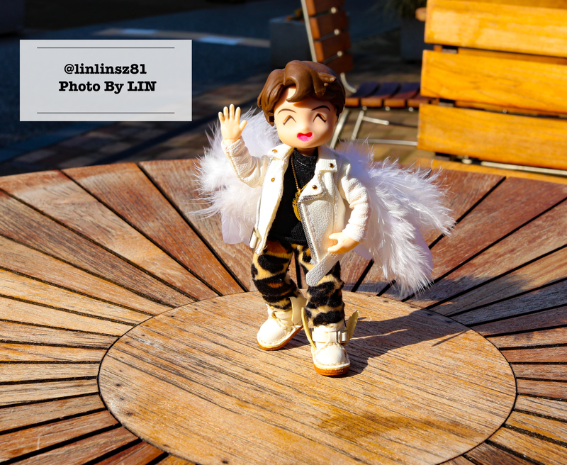 f:id:linlinsz81:20200203221622j:plain