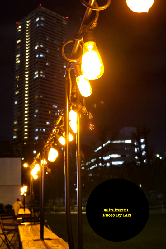 f:id:linlinsz81:20200203222828j:plain