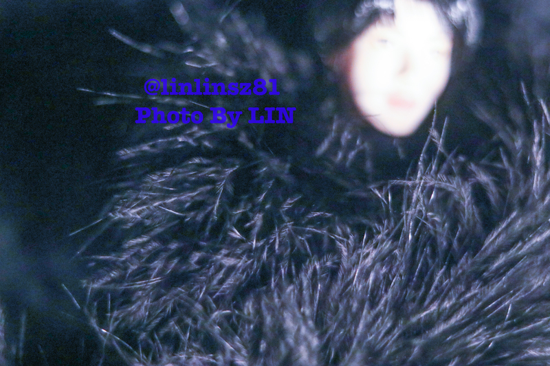 f:id:linlinsz81:20200213225941j:plain