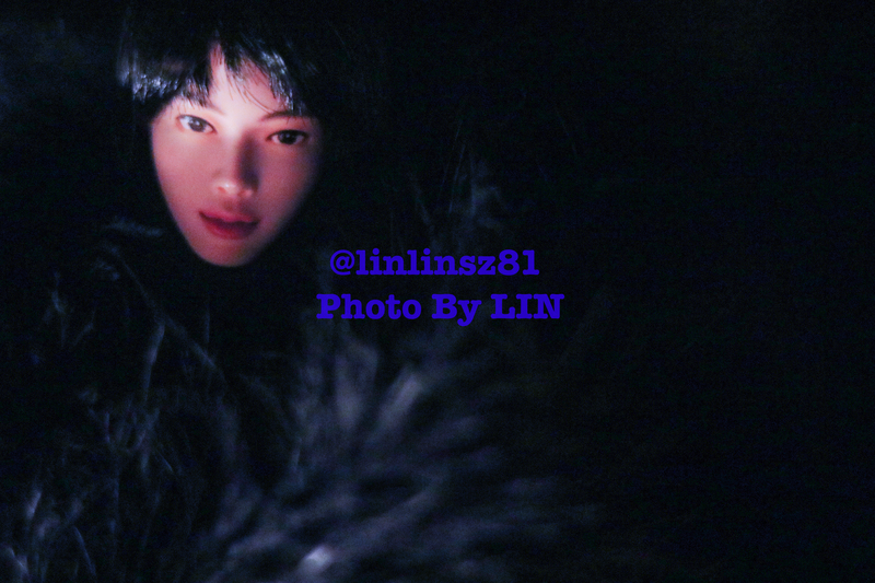 f:id:linlinsz81:20200213230030j:plain