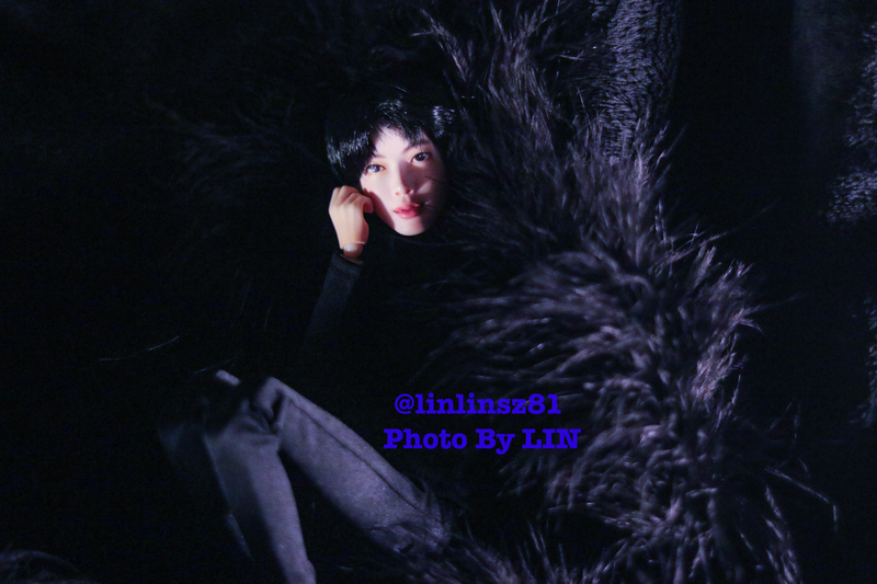 f:id:linlinsz81:20200213230132j:plain