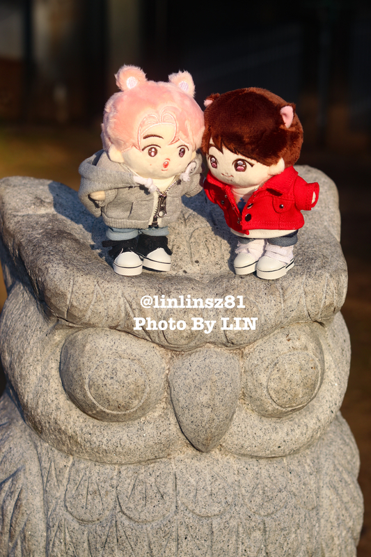 f:id:linlinsz81:20200324141039j:plain
