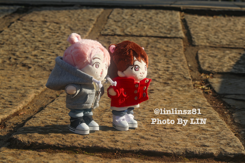 f:id:linlinsz81:20200324141055j:plain