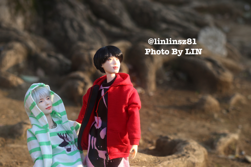 f:id:linlinsz81:20200324141329j:plain