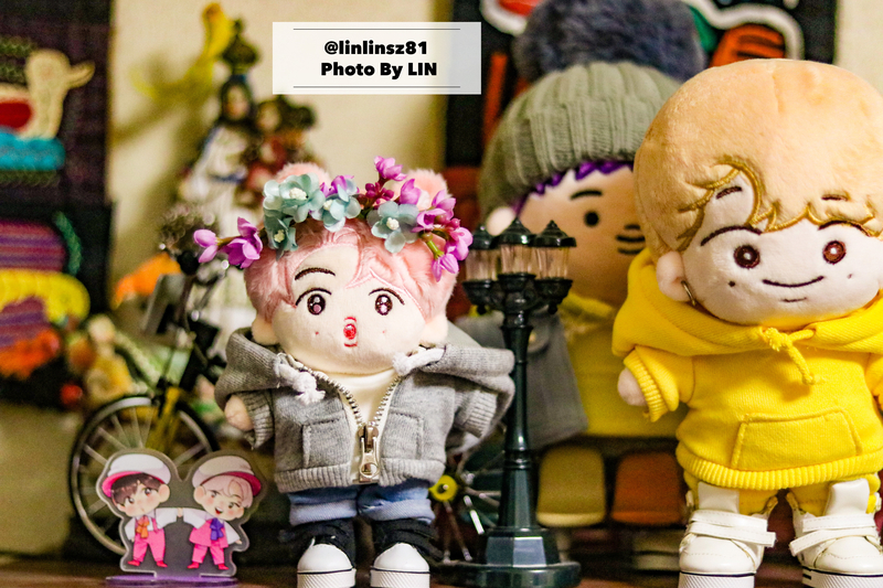 f:id:linlinsz81:20200413230203j:plain