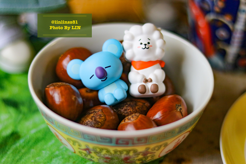 f:id:linlinsz81:20200426210607j:plain