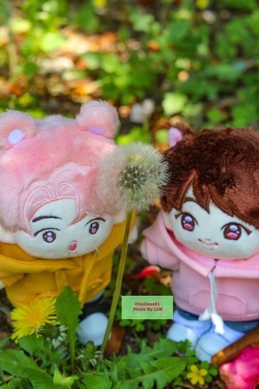 f:id:linlinsz81:20200503190220j:plain