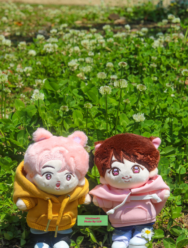 f:id:linlinsz81:20200503190316j:plain