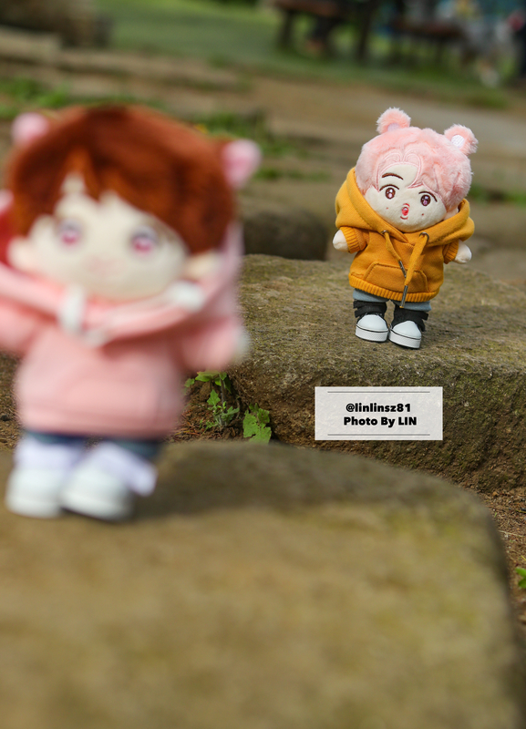 f:id:linlinsz81:20200503193825j:plain