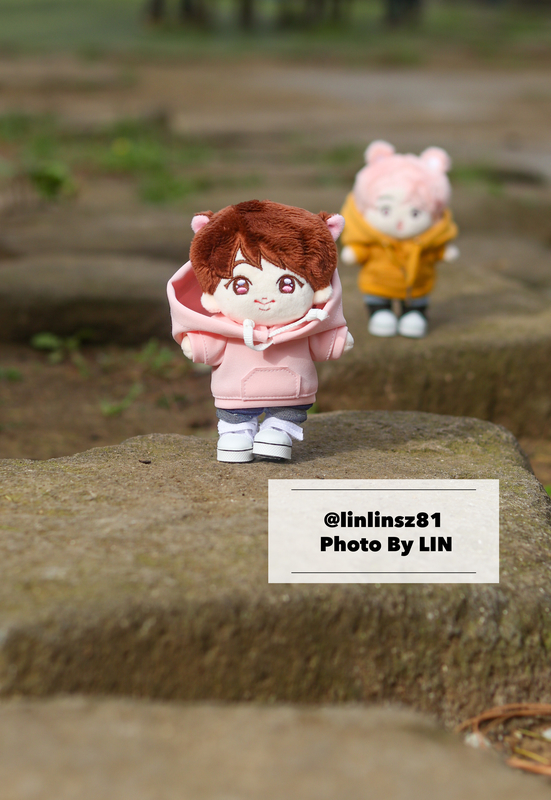 f:id:linlinsz81:20200503193839j:plain