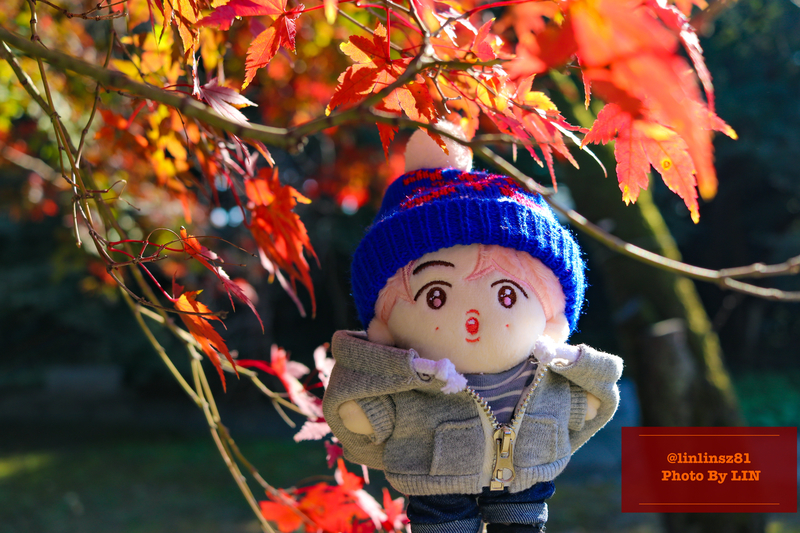 f:id:linlinsz81:20201114174155j:plain