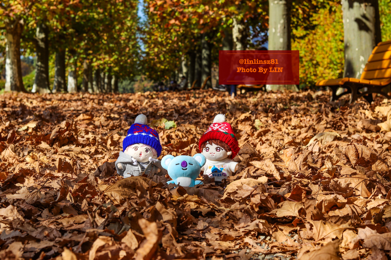 f:id:linlinsz81:20201114174517j:plain