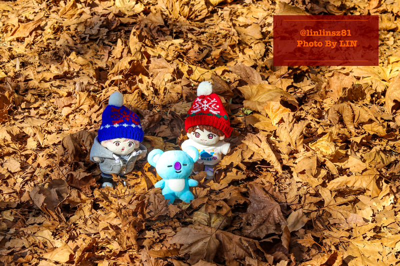 f:id:linlinsz81:20201114174559j:plain