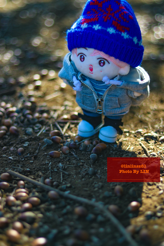 f:id:linlinsz81:20201114174725j:plain