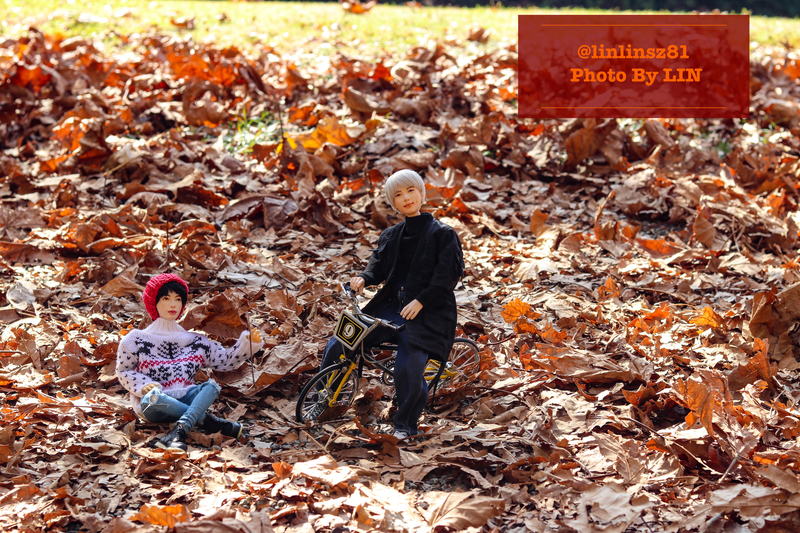 f:id:linlinsz81:20201114174922j:plain