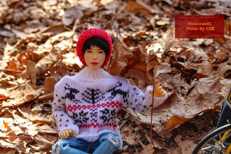 f:id:linlinsz81:20201114174943j:plain