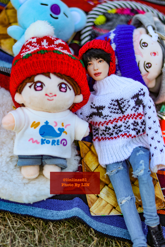 f:id:linlinsz81:20201114175039j:plain