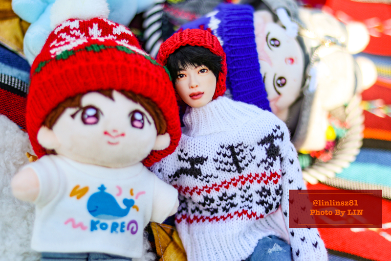 f:id:linlinsz81:20201114175056j:plain