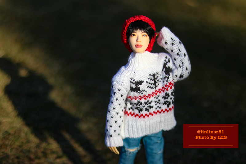 f:id:linlinsz81:20201114175502j:plain