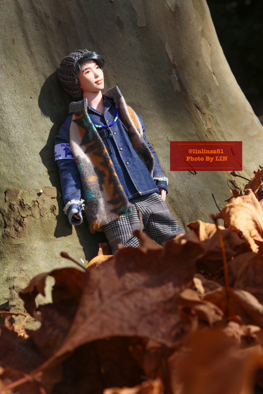 f:id:linlinsz81:20201114175651j:plain