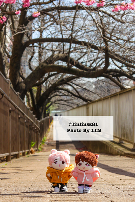 f:id:linlinsz81:20210307113603j:plain